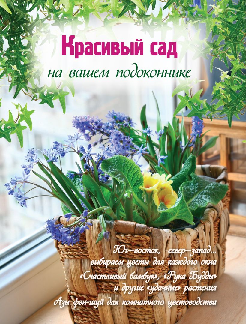 Обложка Красивый сад на вашем подоконнике