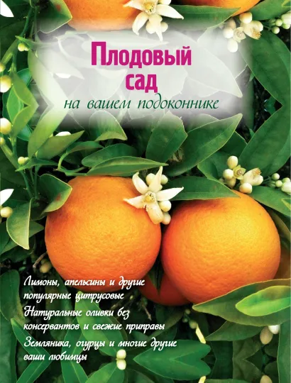 Обложка Плодовый сад на вашем подоконнике