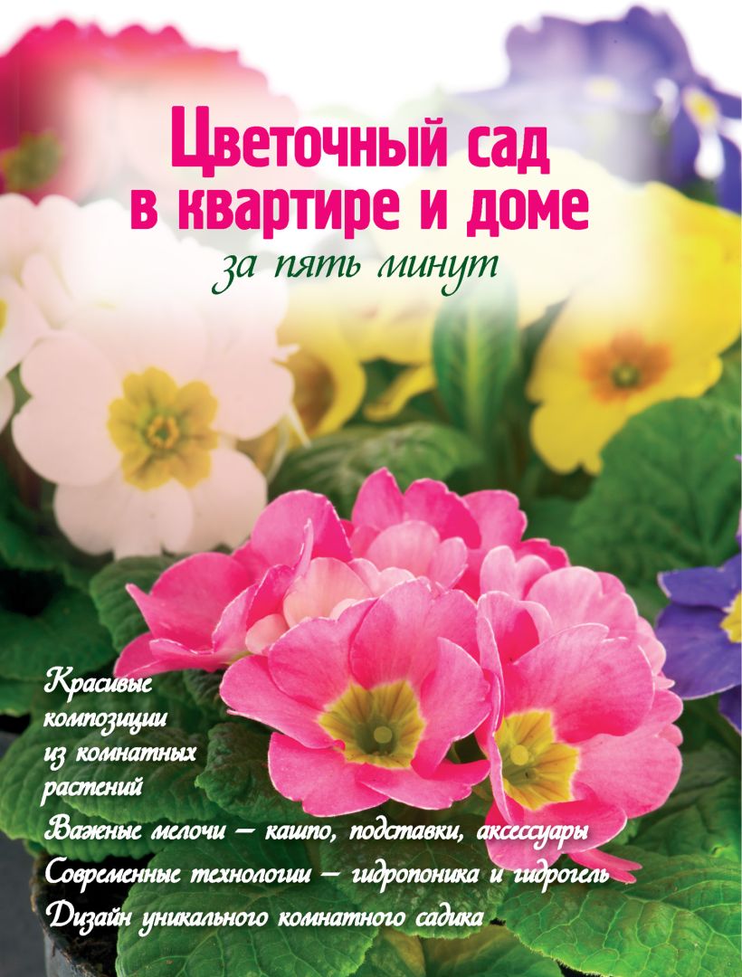 Обложка Цветочный сад в квартире и доме за пять минут Наталья Власова