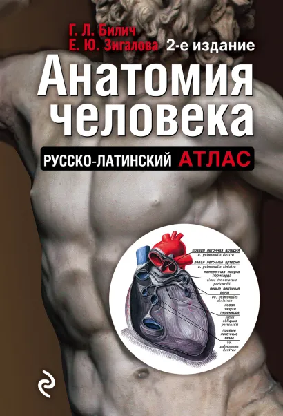 Обложка Анатомия человека. Русско-латинский атлас Габриэль Билич, Елена Зигалова