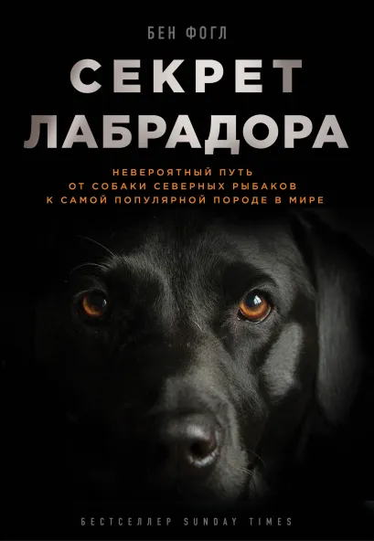 Обложка Секрет лабрадора. Невероятный путь от собаки северных рыбаков к самой популярной породе в мире Бен Фогл