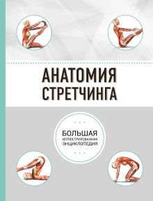 Анатомия стретчинга. Большая иллюстрированная энциклопедия