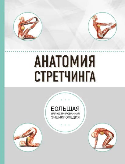 Обложка Анатомия стретчинга. Большая иллюстрированная энциклопедия Брэд Уокер