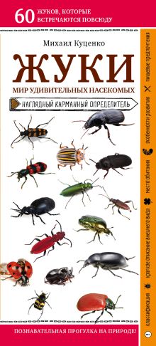 Обложка Жуки. Мир удивительных насекомых Михаил Куценко