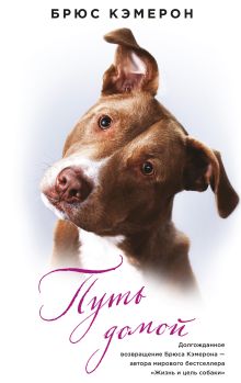 Обложка Путь домой Брюс Кэмерон