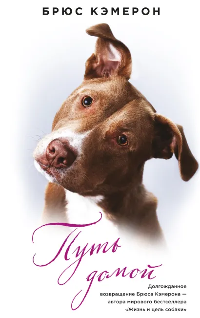 Обложка Путь домой Брюс Кэмерон