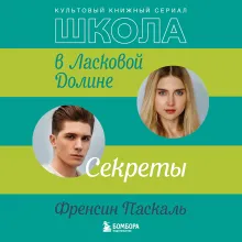 Школа в Ласковой Долине. Секреты (книга №2)