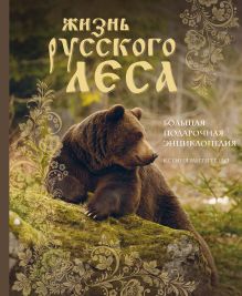 Обложка Жизнь русского леса. Большая подарочная энциклопедия (медведь) Ксения Митителло