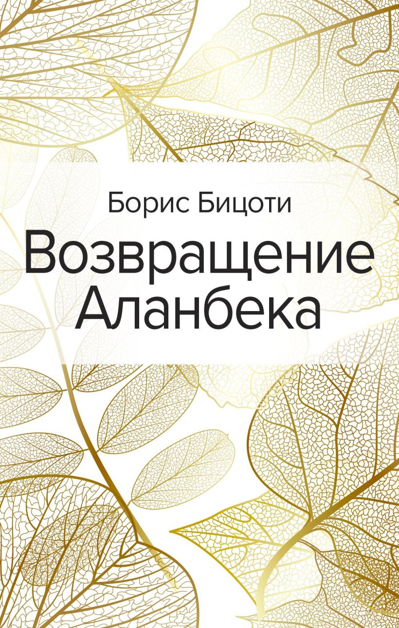 Обложка Возвращение Аланбека Борис Бицоти