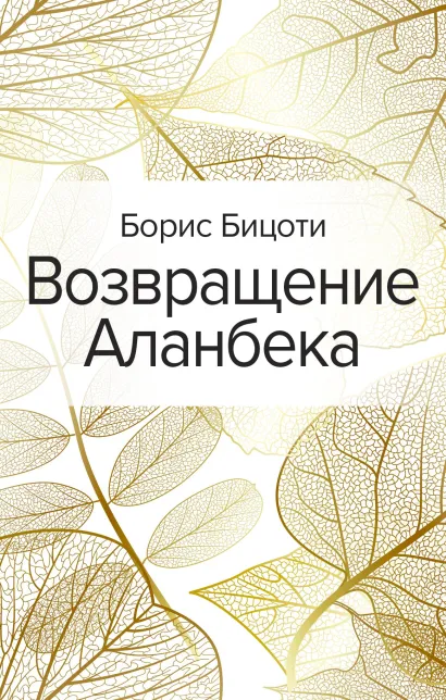 Обложка Возвращение Аланбека Борис Бицоти