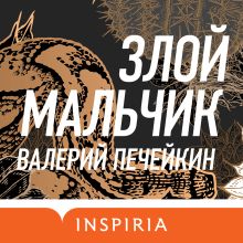 Обложка Злой мальчик Валерий Печейкин