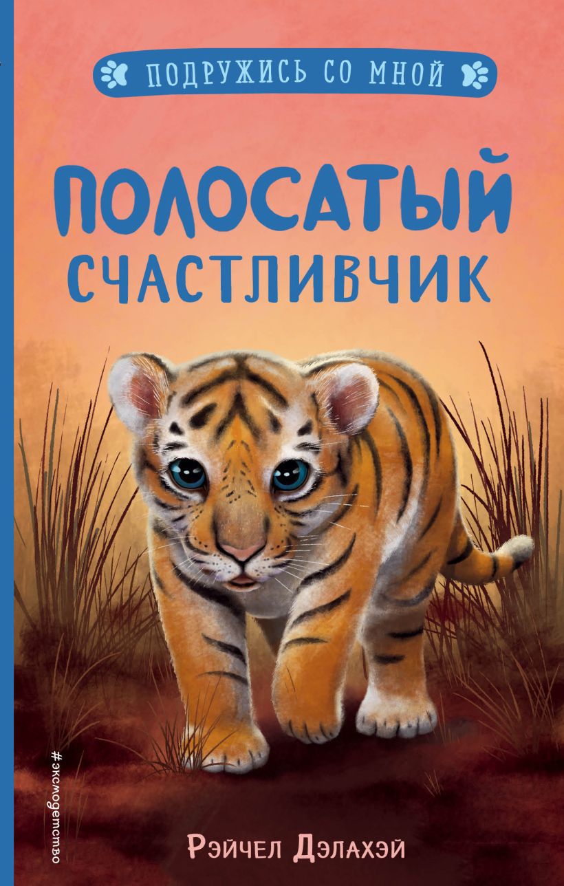 Обложка Полосатый счастливчик Рэйчел Дэлахэй