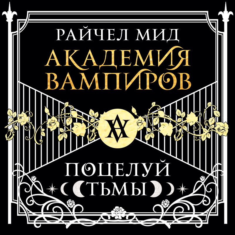 Обложка Академия вампиров. Книга 3. Поцелуй тьмы Райчел Мид