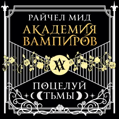 Обложка Академия вампиров. Книга 3. Поцелуй тьмы Райчел Мид