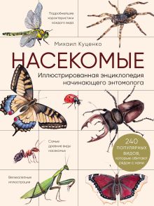 Обложка Насекомые. Иллюстрированная энциклопедия начинающего энтомолога (240 популярных видов, которые обитают рядом с нами) Михаил Куценко