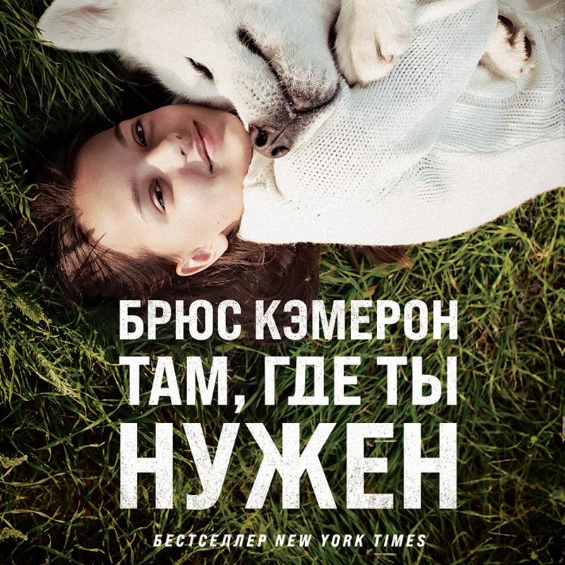Обложка Там, где ты нужен Брюс Кэмерон