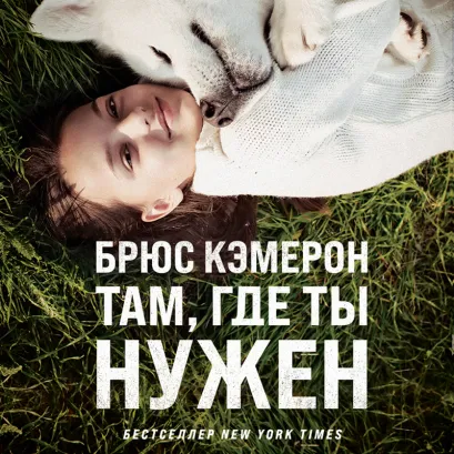 Обложка Там, где ты нужен Брюс Кэмерон