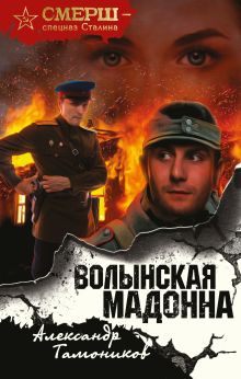 Обложка Волынская мадонна Александр Тамоников