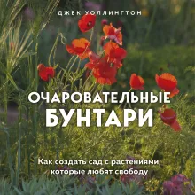 Дикие, но прекрасные. Дизайн сада с самыми неприхотливыми растениями