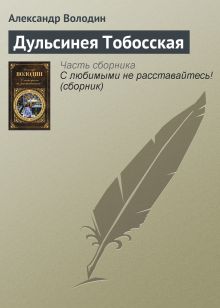 Обложка Дульсинея Тобосская Александр Володин