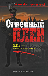 Обложка Огненный плен Вячеслав Денисов
