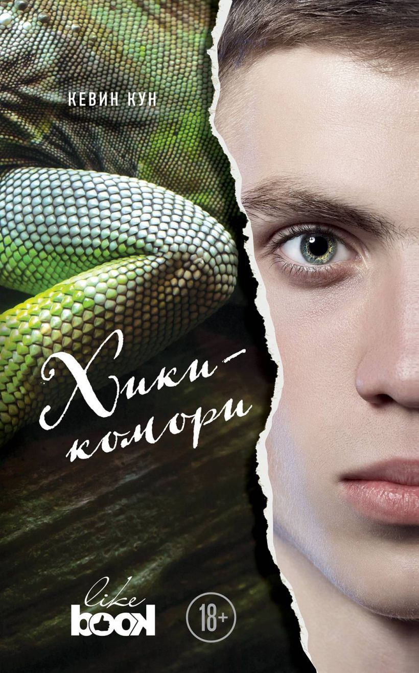 Обложка Хикикомори Кевин Кун