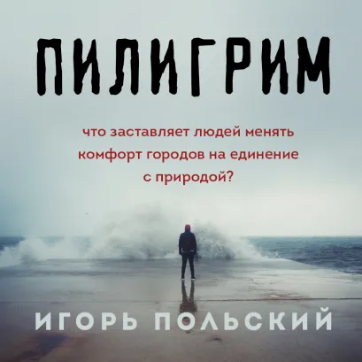 Обложка Пилигрим. Дневники начала конца света Игорь Польский