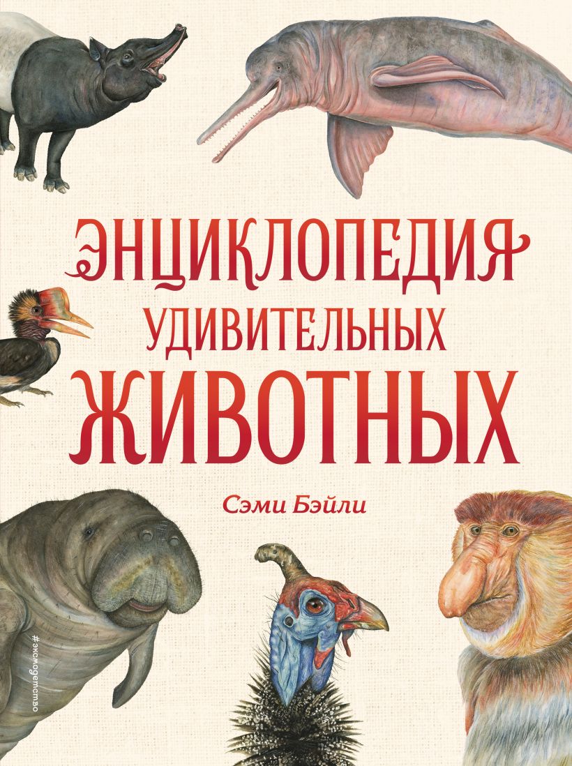 Обложка Энциклопедия удивительных животных Сэми Бэйли