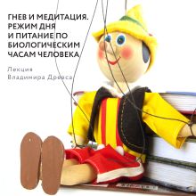 Обложка Гнев и медитация. Режим дня и питание по биологическим часам человека Владимир Древс