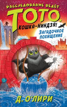 Обложка Загадочное похищение Дэрмот О`Лири