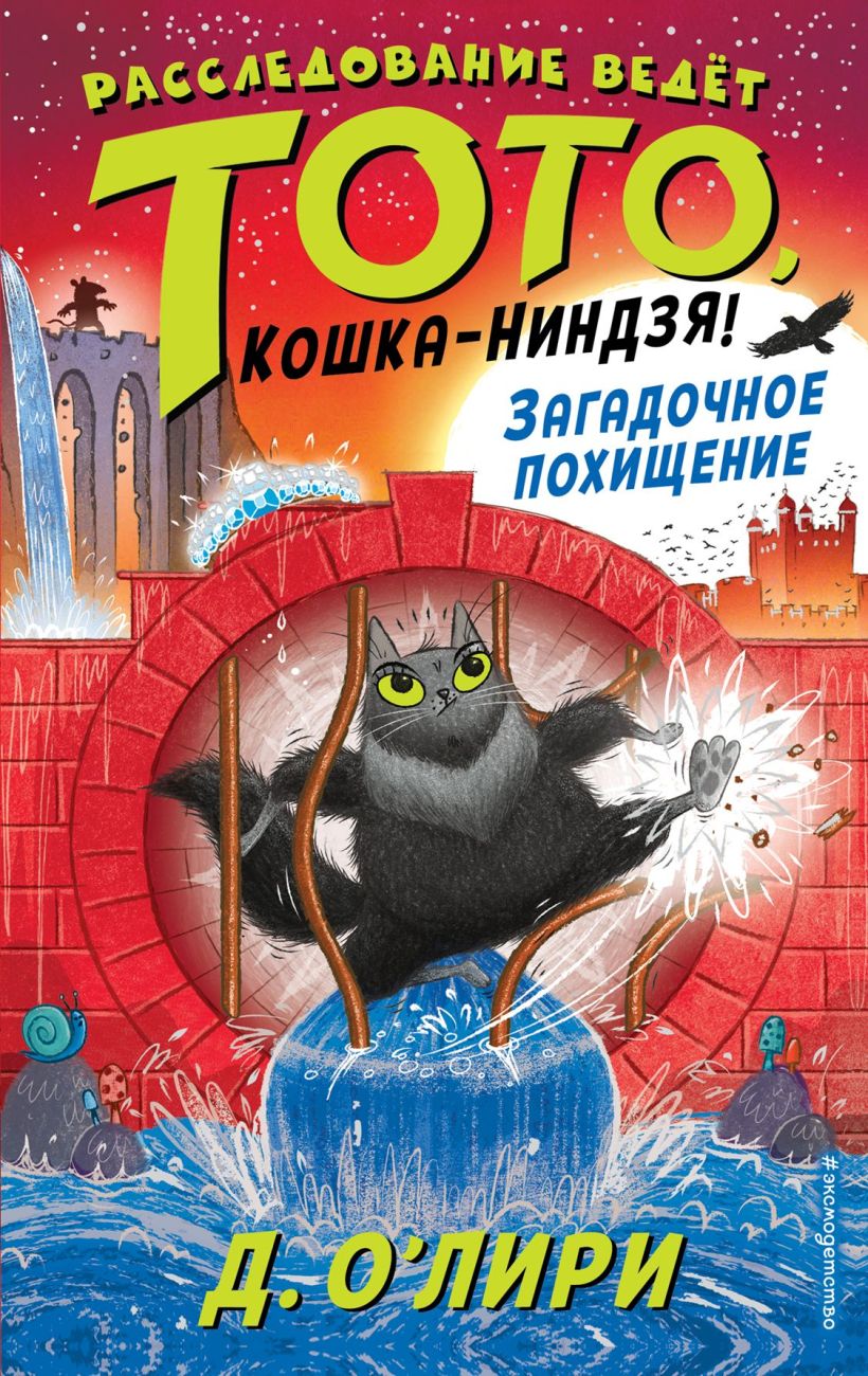 Обложка Загадочное похищение Дэрмот О`Лири