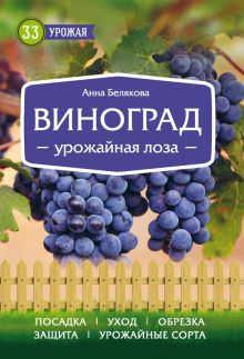 Обложка Виноград. Секреты выращивания для любого региона Анна Белякова