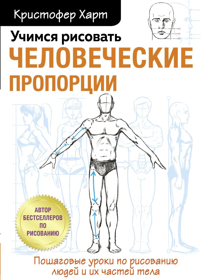Обложка Учимся рисовать человеческие пропорции Кристофер Харт