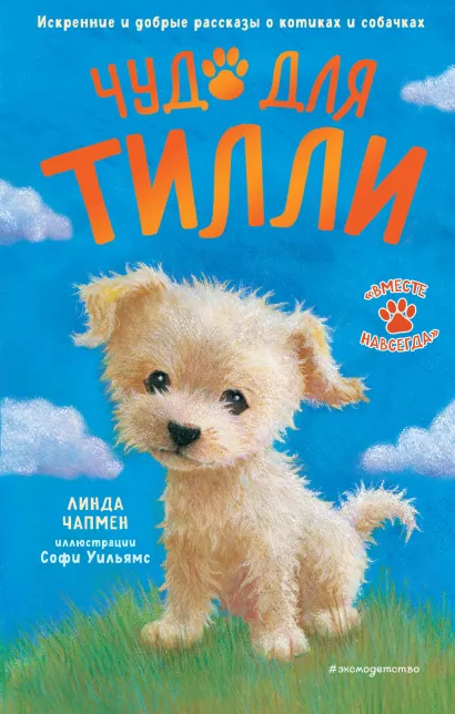 Обложка Чудо для Тилли Линда Чапмен, Джули Сайкс