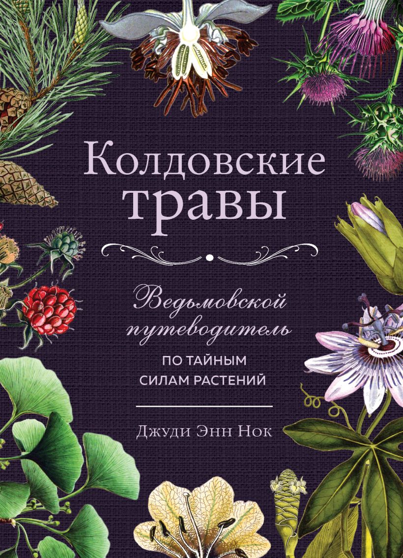 Скачать «Колдовские травы Ведьмовской путеводитель по тайным силам  растений» Джуди Энн Нок в формате FB2.ZIP, FB3, EPUB, IOS.EPUB от 419 ₽ |  Эксмо