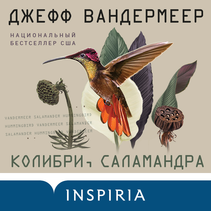 Обложка Колибри, саламандра Джефф Вандермир