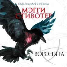 Вороновый круг. Воронята (#1) (подарочное оформление)