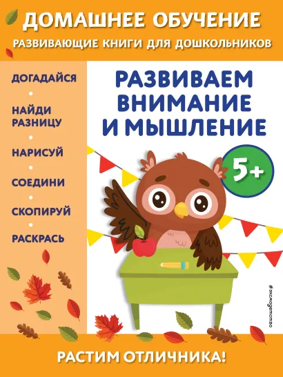 Обложка Развиваем внимание и мышление: для детей от 5 лет Беркай Динч
