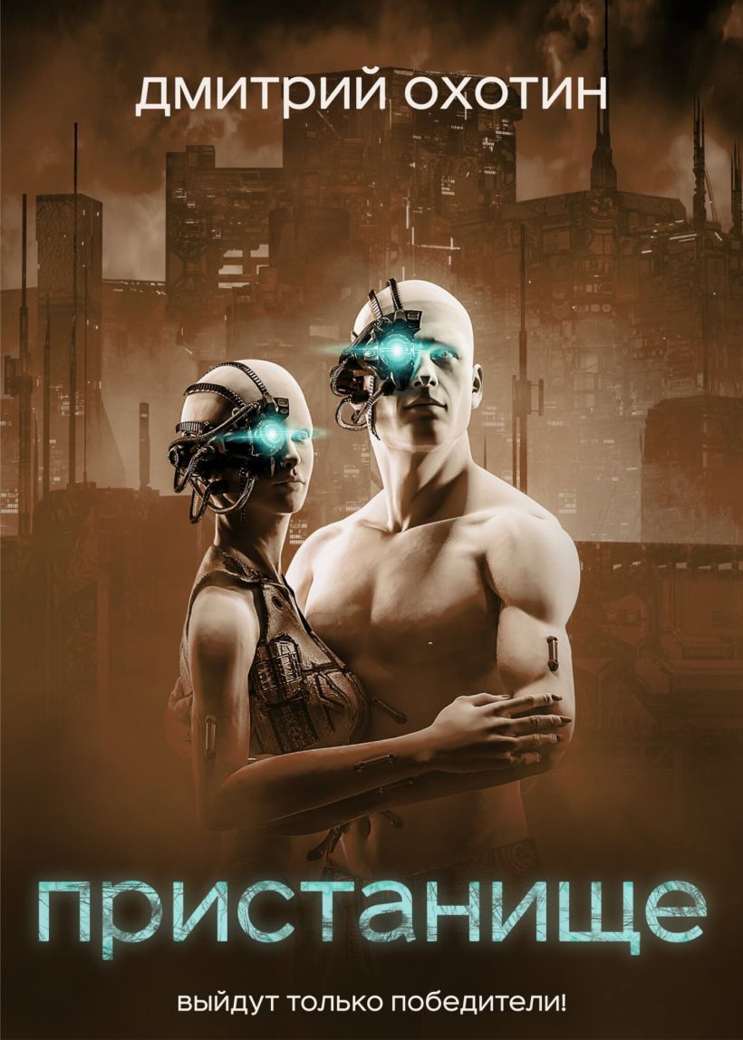 Обложка Пристанище Дмитрий Охотин