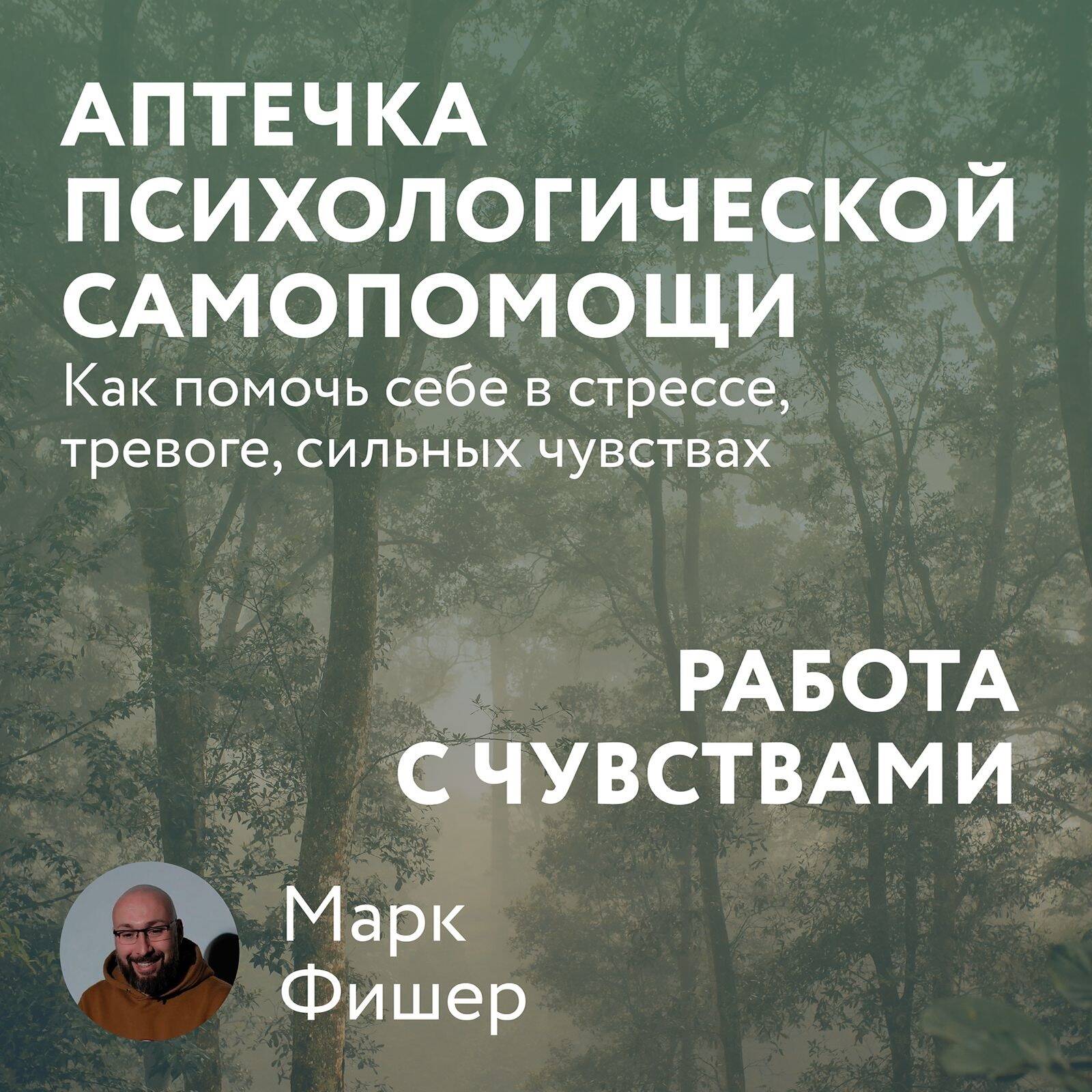 Аптечка психологической самопомощи: Работа с чувствами