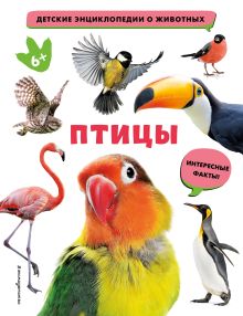 Обложка Птицы