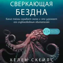 Сверкающая бездна. Какие тайны скрывает океан и что угрожает его глубоководным обитателям