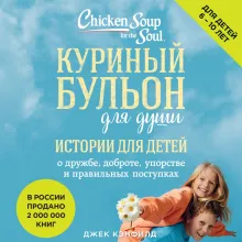 Куриный бульон для души: истории для детей