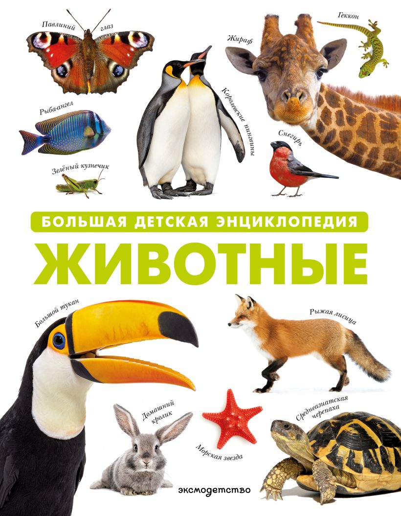 Обложка Животные. Большая детская энциклопедия