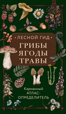 Обложка Лесной гид: грибы, ягоды, травы. Карманный атлас-определитель Людмила Семенова