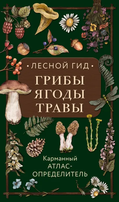 Обложка Лесной гид: грибы, ягоды, травы. Карманный атлас-определитель Людмила Семенова