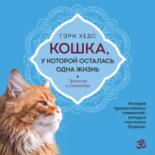 Кошка, у которой осталась одна жизнь