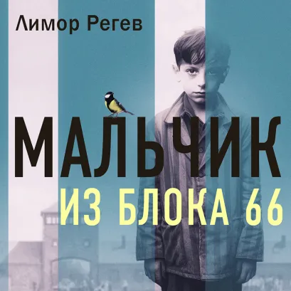 Обложка Мальчик из Блока 66. Реальная история ребенка, пережившего Аушвиц и Бухенвальд Лимор Регев