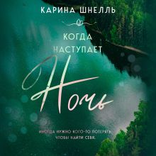 Обложка Когда наступает ночь Карина Шнелль