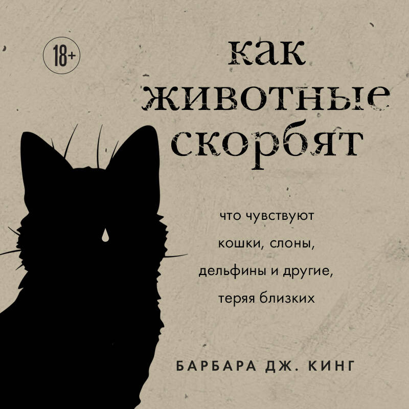 Как животные скорбят. Что чувствуют кошки, слоны, дельфины и другие, теряя близких
